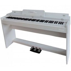 TP-300C WH Piano Digitale 88 tasti pesati (a mobile)
